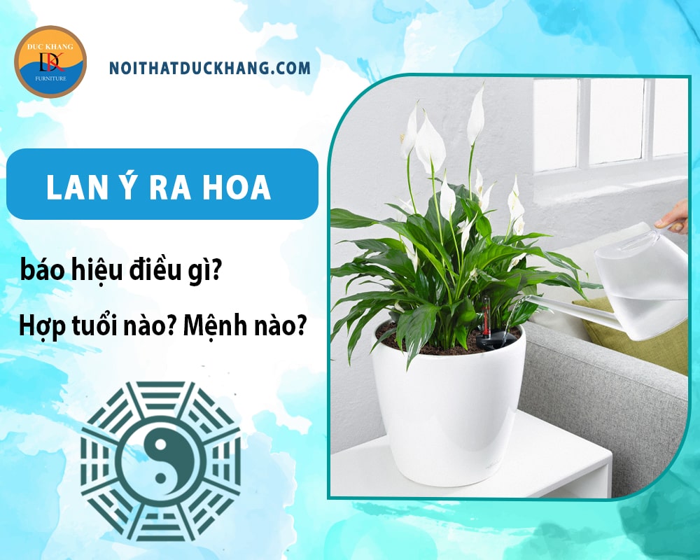 Lan ý ra hoa báo hiệu điều gì? Hợp tuổi nào? Mệnh nào? Lan ý ra hoa báo hiệu điều gì? Hợp tuổi nào? Mệnh nào?