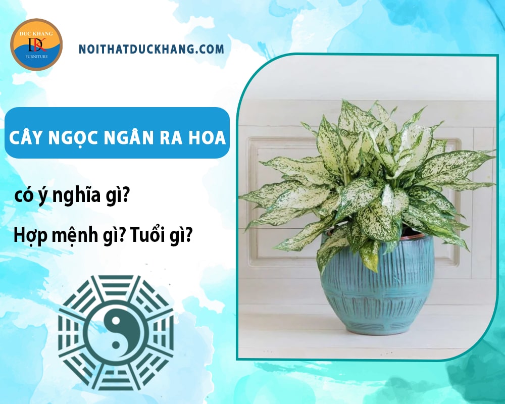 Cây ngọc ngân ra hoa có ý nghĩa gì? Hợp mệnh gì? Tuổi gì?