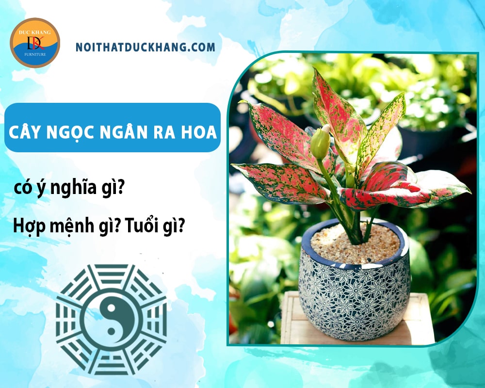 Cây ngọc ngân ra hoa có ý nghĩa gì? Hợp mệnh gì? Tuổi gì?
