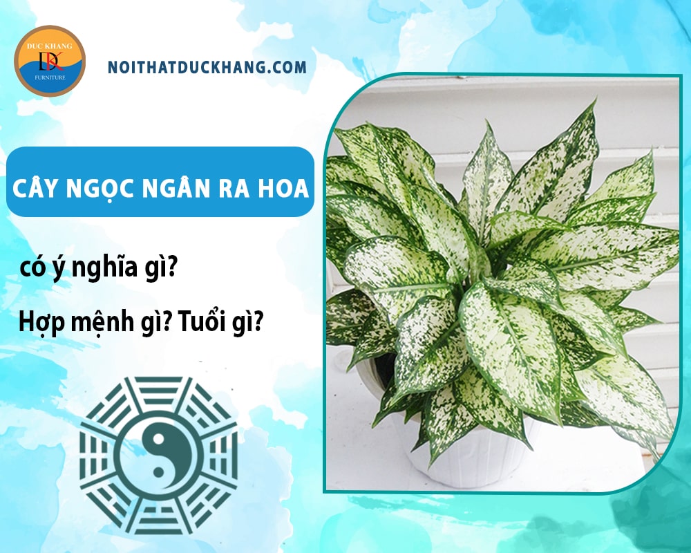 Cây ngọc ngân ra hoa có ý nghĩa gì? Hợp mệnh gì? Tuổi gì?