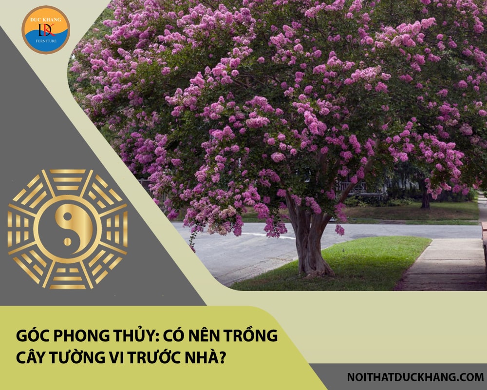 Góc phong thủy: Có nên trồng cây tường vi trước nhà?