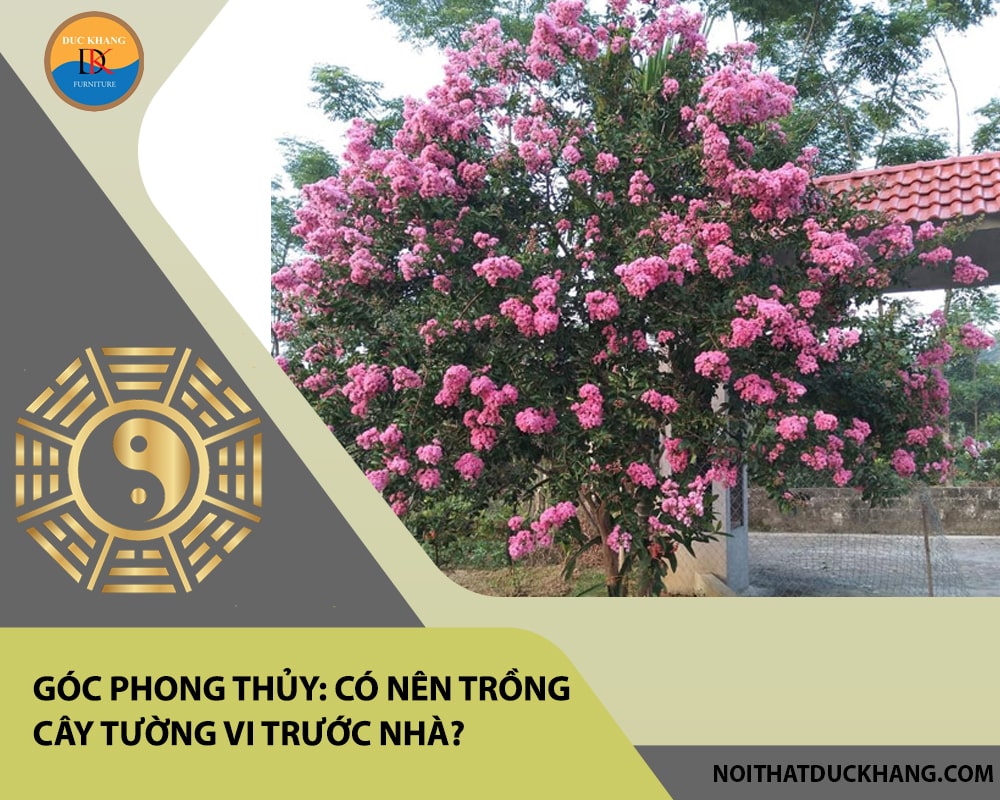 Góc phong thủy: Có nên trồng cây tường vi trước nhà?