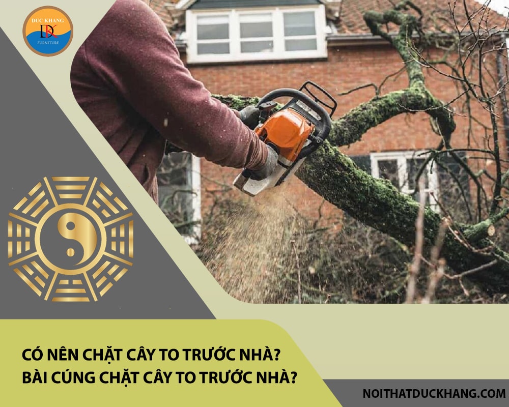 Có nên chặt cây to trước nhà? Bài cúng chặt cây to trước nhà? Có nên chặt cây to trước nhà? Bài cúng chặt cây to trước nhà?