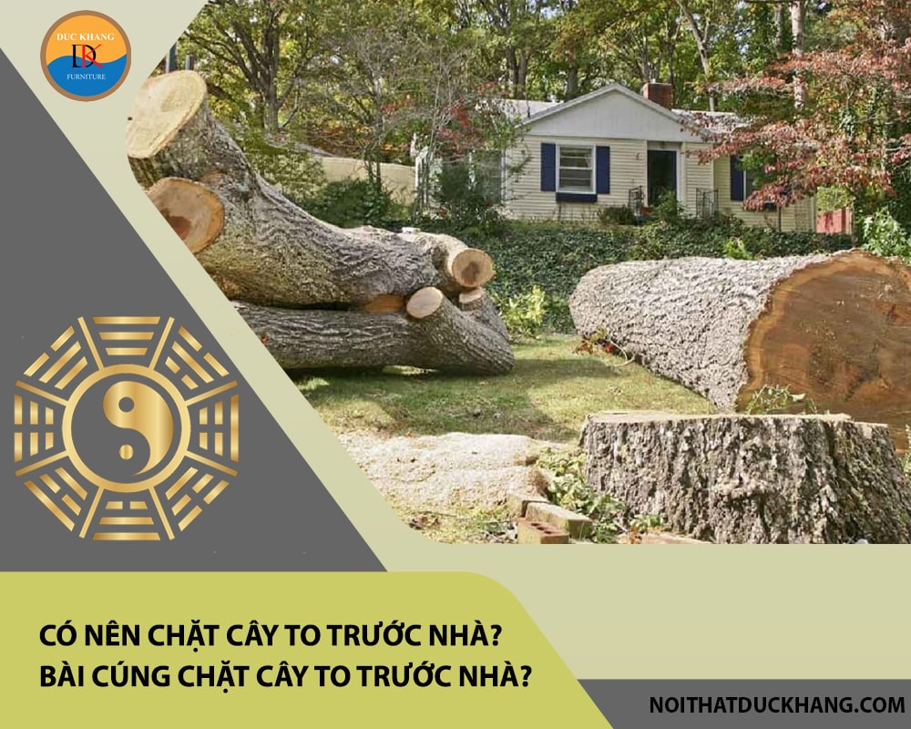 Có nên chặt cây to trước nhà? Bài cúng chặt cây to trước nhà? Có nên chặt cây to trước nhà? Bài cúng chặt cây to trước nhà?