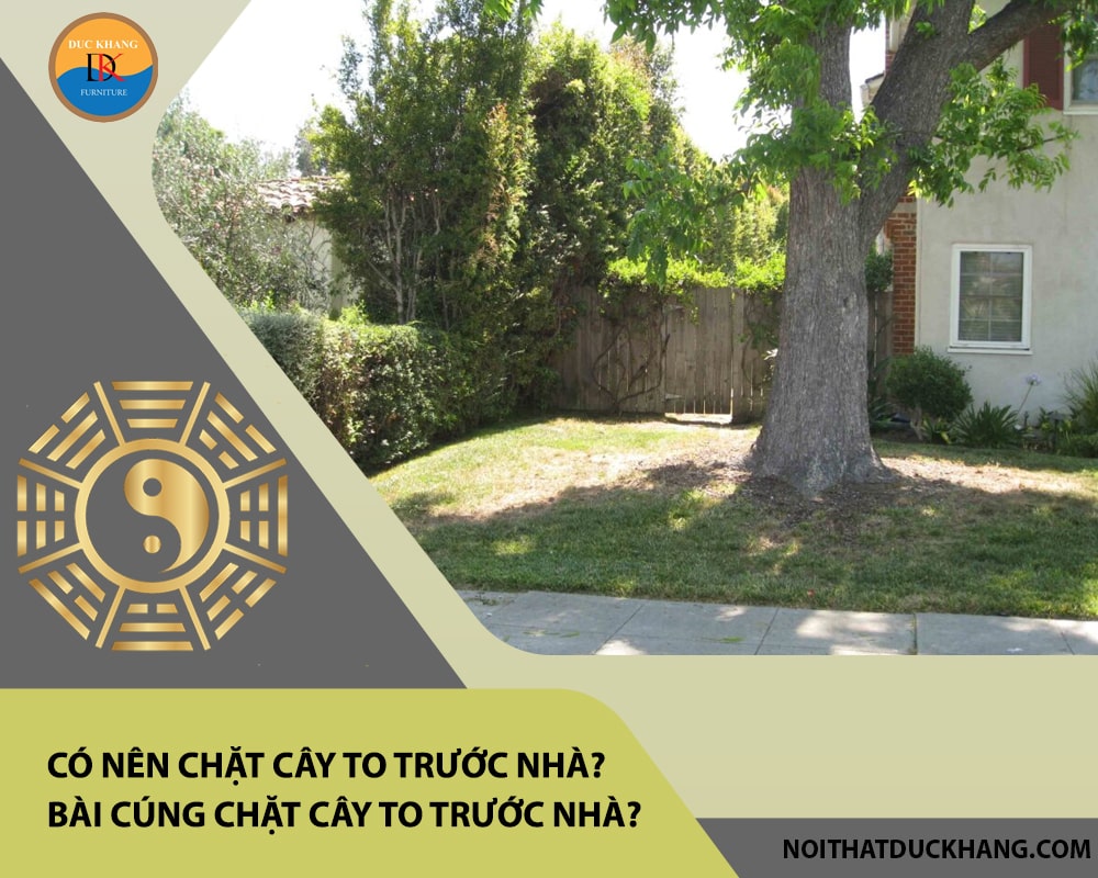 Có nên chặt cây to trước nhà? Bài cúng chặt cây to trước nhà? Có nên chặt cây to trước nhà? Bài cúng chặt cây to trước nhà?