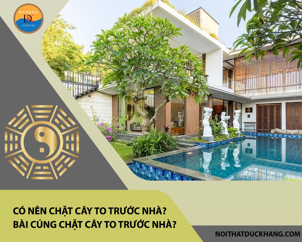 Có nên chặt cây to trước nhà? Bài cúng chặt cây to trước nhà? Có nên chặt cây to trước nhà? Bài cúng chặt cây to trước nhà?