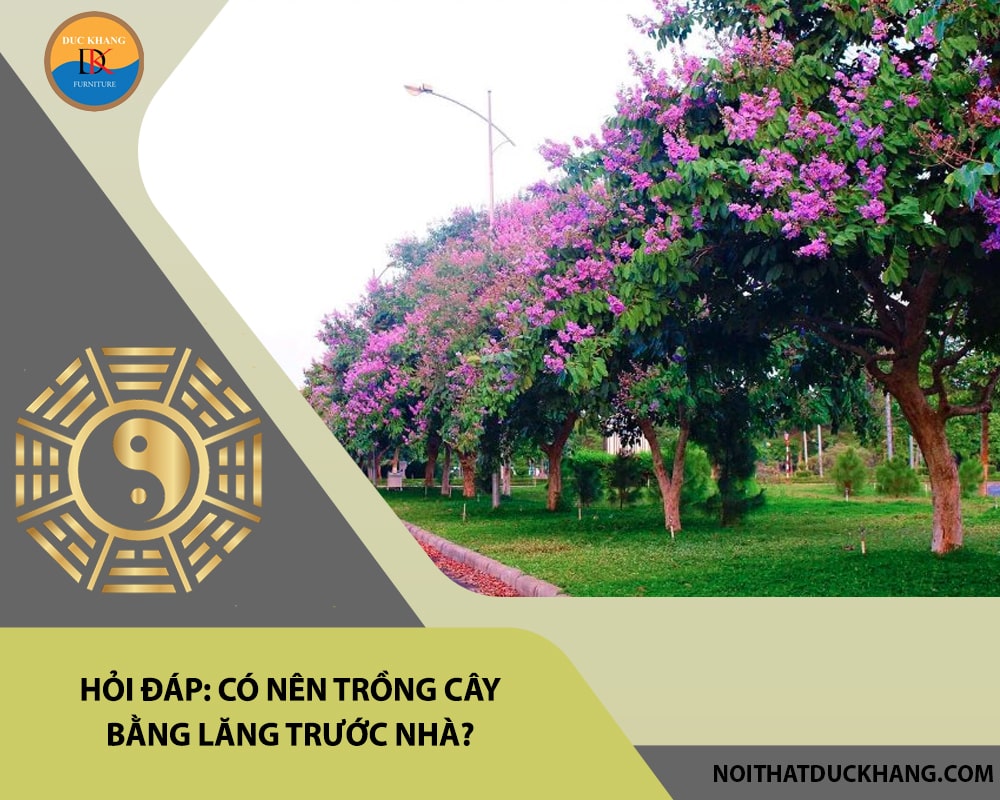 Hỏi đáp: Có nên trồng cây bằng lăng trước nhà?