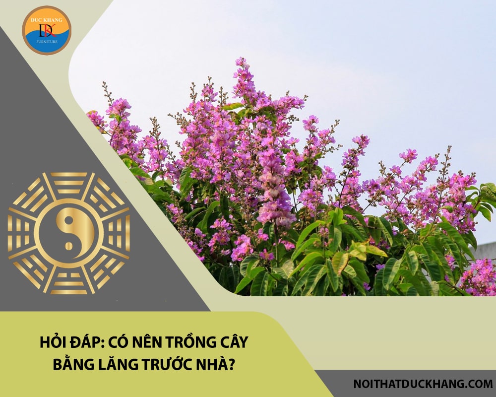 Hỏi đáp: Có nên trồng cây bằng lăng trước nhà?