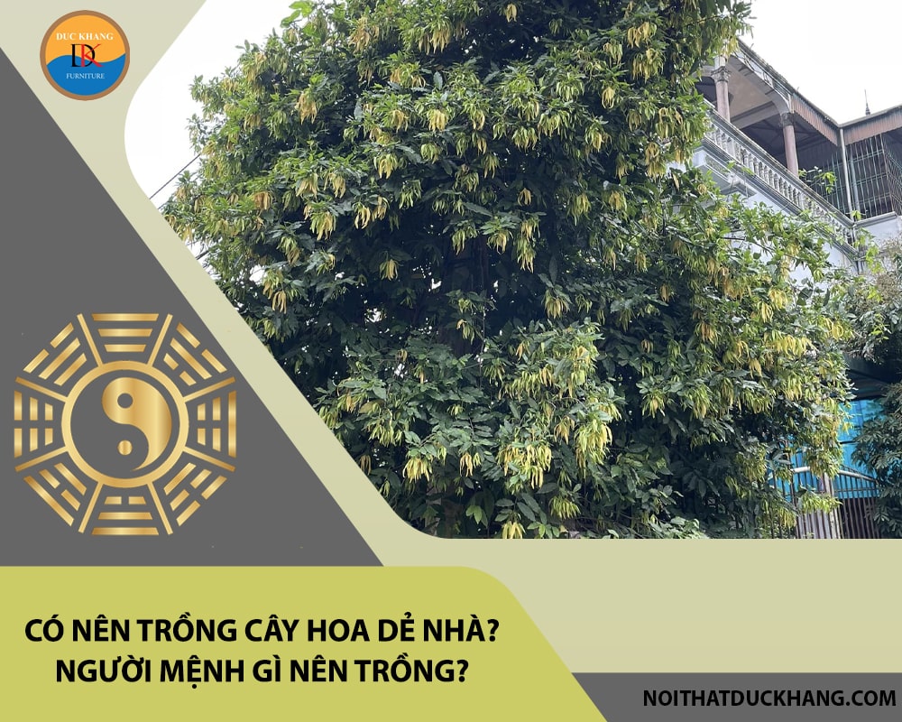 Có nên trồng cây hoa dẻ trước nhà? Người mệnh gì nên trồng?