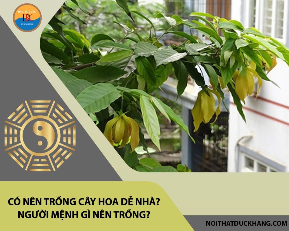 Có nên trồng cây hoa dẻ trước nhà? Người mệnh gì nên trồng?