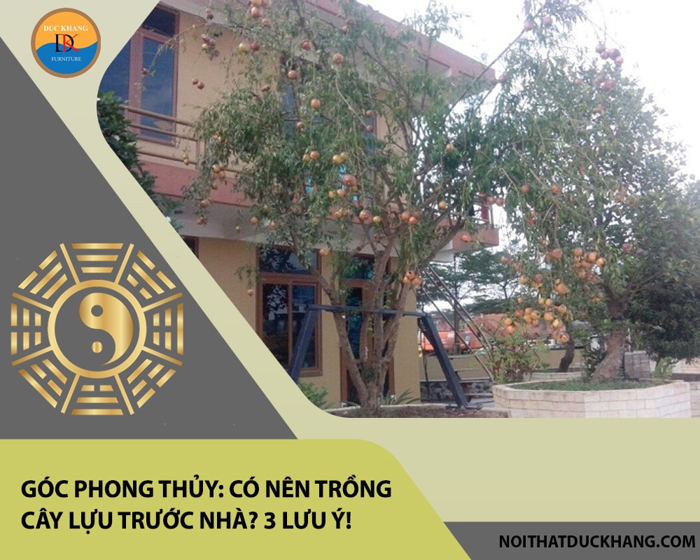 Góc phong thủy: Có nên trồng cây lựu trước nhà? 3 lưu ý! Góc phong thủy: Có nên trồng cây lựu trước nhà? 3 lưu ý!