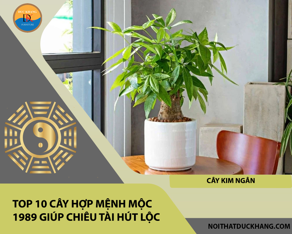 Top 10 cây hợp mệnh Mộc 1989 giúp chiêu tài hút lộc - Cây Kim Ngân Top 10 cây hợp mệnh Mộc 1989 giúp chiêu tài hút lộc - Cây Kim Ngân