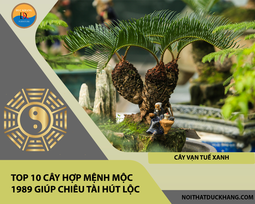 Top 10 cây hợp mệnh Mộc 1989 giúp chiêu tài hút lộc