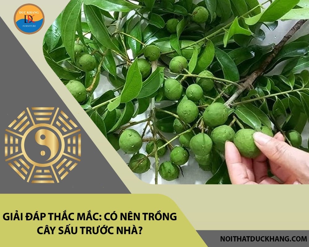 Giải đáp thắc mắc: Có nên trồng cây sấu trước nhà?