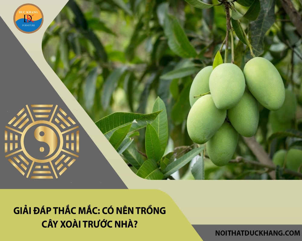 Giải đáp thắc mắc: Có nên trồng cây xoài trước nhà?