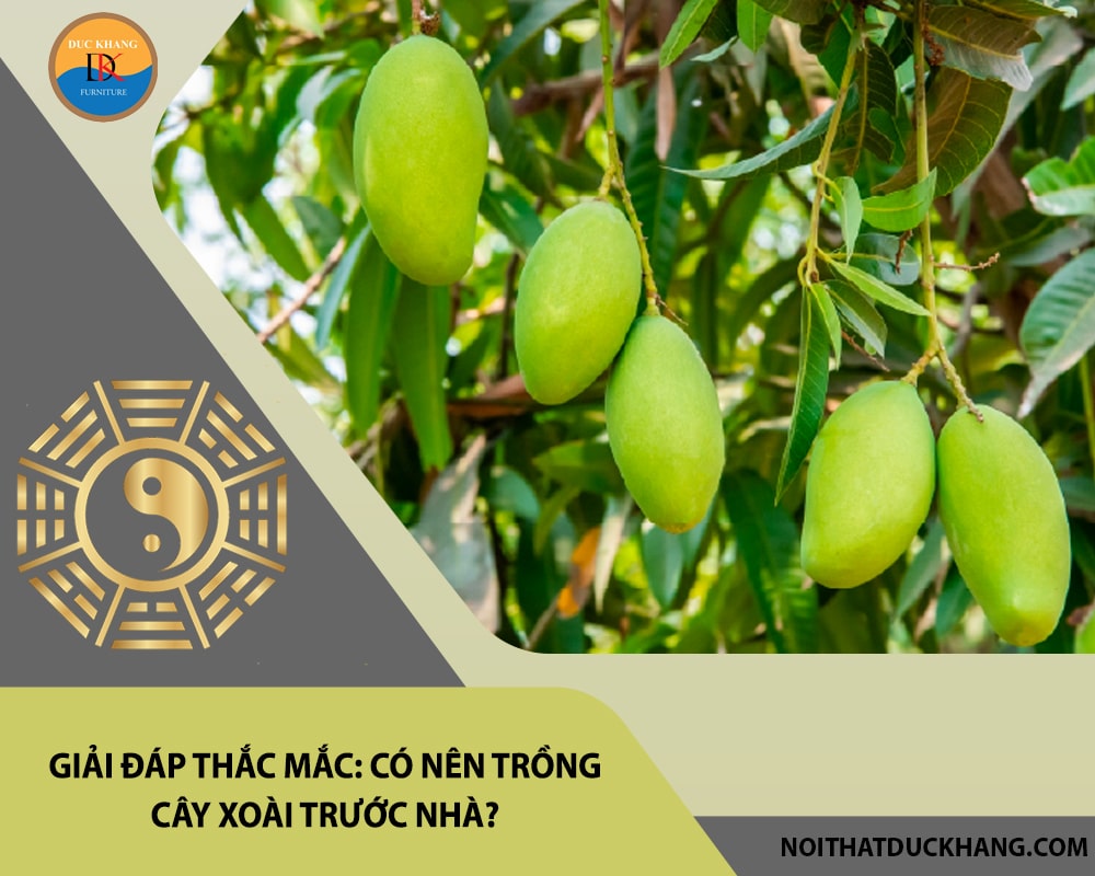 Giải đáp thắc mắc: Có nên trồng cây xoài trước nhà?