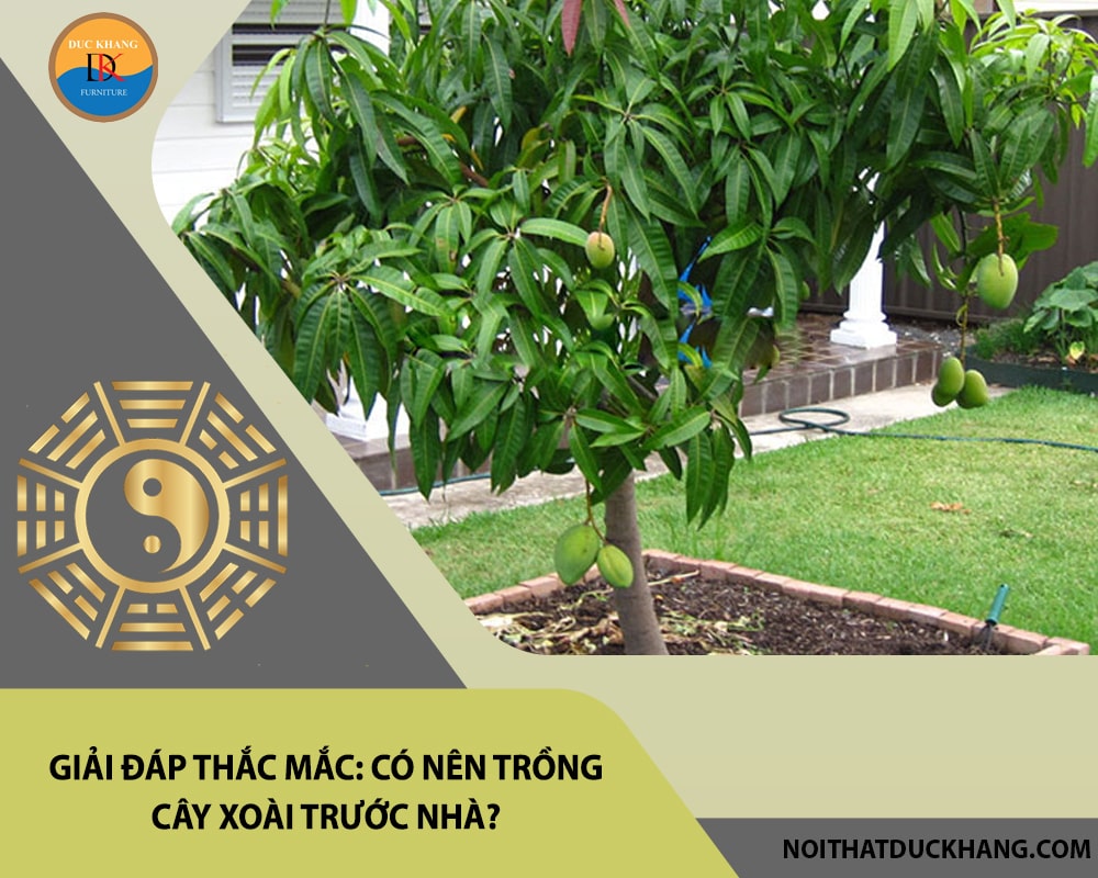 Giải đáp thắc mắc: Có nên trồng cây xoài trước nhà?