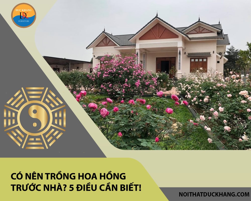 Có nên trồng hoa hồng trước nhà? 5 điều cần biết!