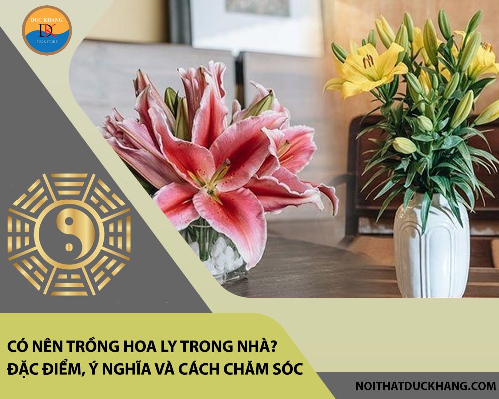 Có nên trồng hoa ly trong nhà? Đặc điểm, ý nghĩa và cách chăm sóc Có nên trồng hoa ly trong nhà? Đặc điểm, ý nghĩa và cách chăm sóc