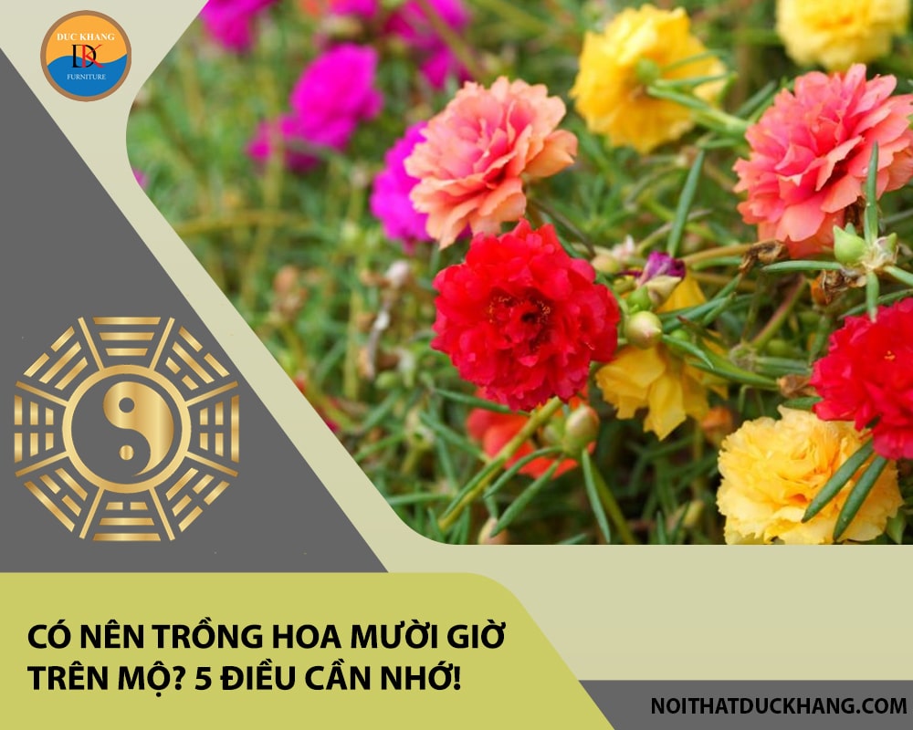 Có nên trồng hoa mười giờ trên mộ? 5 điều cần nhớ! Có nên trồng hoa mười giờ trên mộ? 5 điều cần nhớ!
