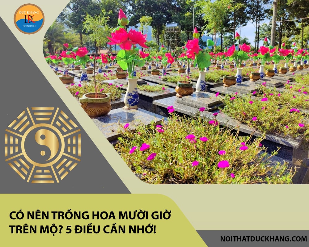 Có nên trồng hoa mười giờ trên mộ? 5 điều cần nhớ!