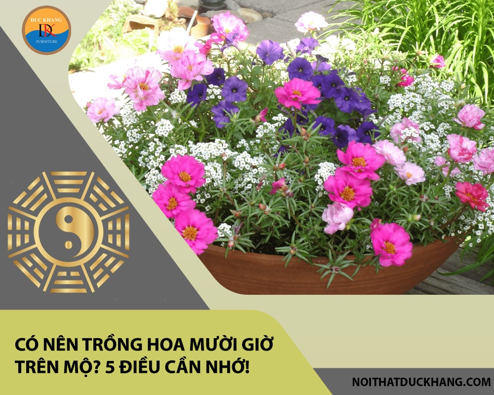 Có nên trồng hoa mười giờ trên mộ? 5 điều cần nhớ! Có nên trồng hoa mười giờ trên mộ? 5 điều cần nhớ!