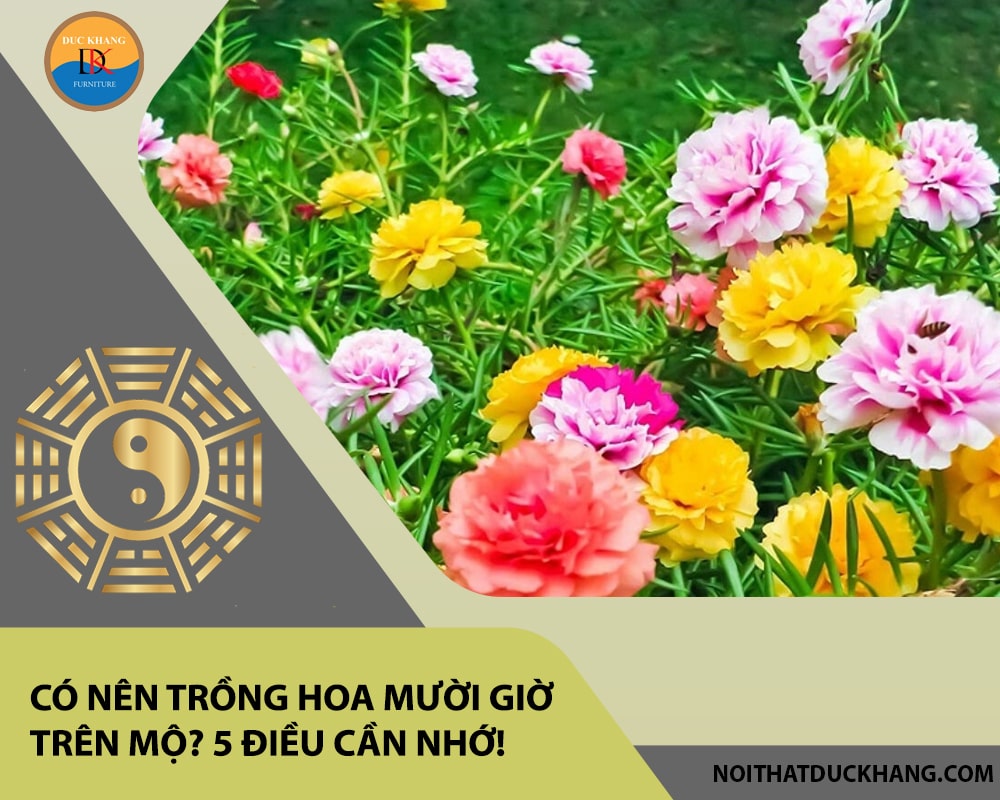 Có nên trồng hoa mười giờ trên mộ? 5 điều cần nhớ! Có nên trồng hoa mười giờ trên mộ? 5 điều cần nhớ!