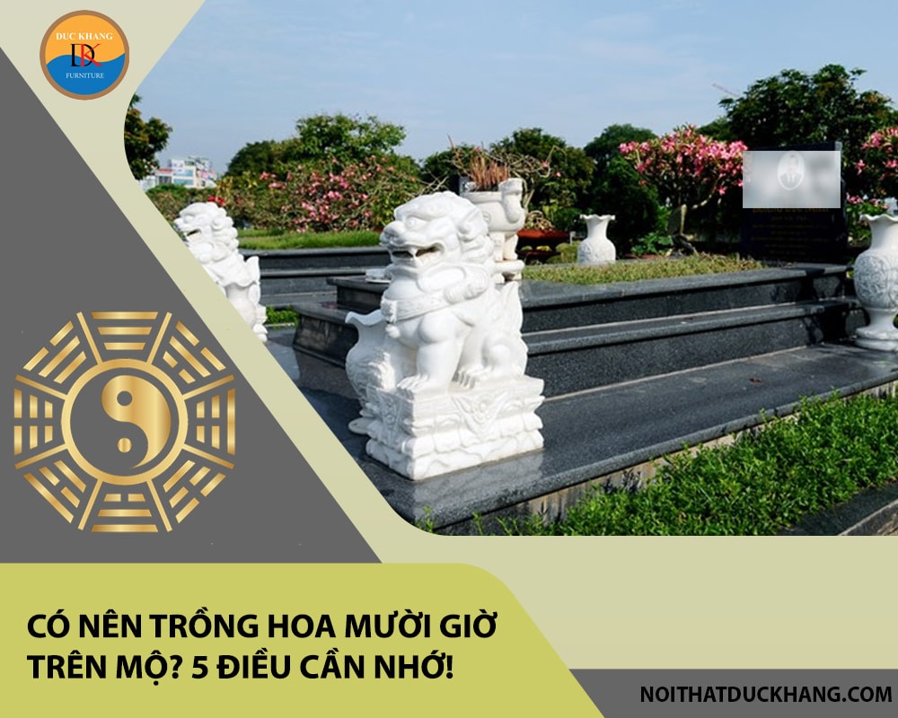 Có nên trồng hoa mười giờ trên mộ? 5 điều cần nhớ! Có nên trồng hoa mười giờ trên mộ? 5 điều cần nhớ!