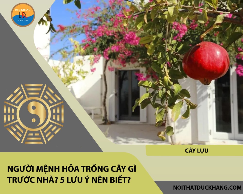 Người mệnh Hỏa trồng cây gì trước nhà - Cây lựu