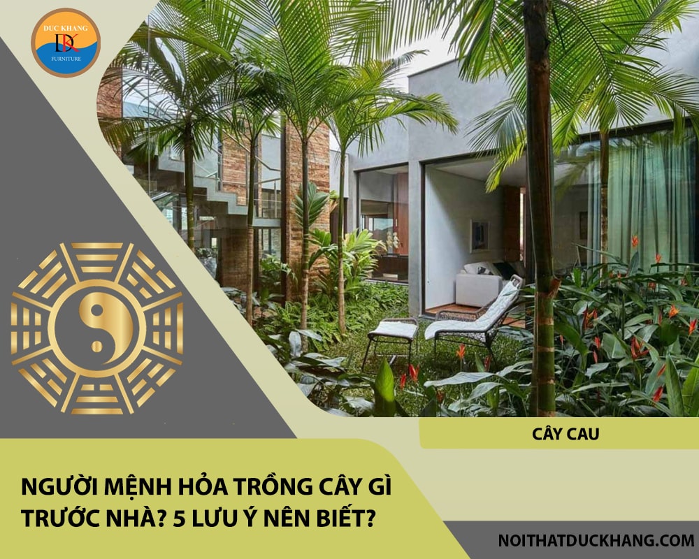 Người mệnh Hỏa trồng cây gì trước nhà - Cây cau