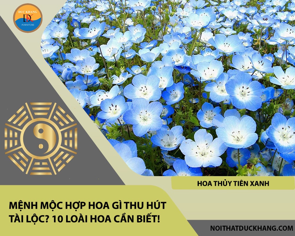 Mệnh Mộc hợp hoa gì thu hút tài lộc - Hoa Thủy tiên xanh Mệnh Mộc hợp hoa gì thu hút tài lộc - Hoa Thủy tiên xanh
