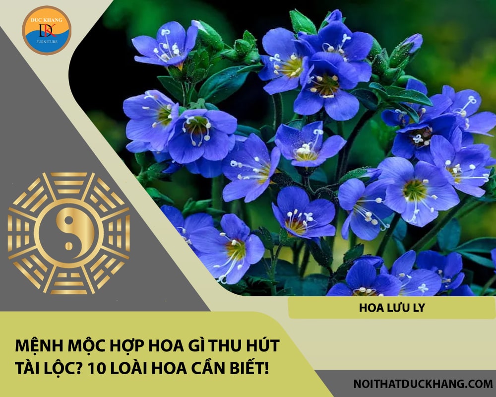 Mệnh Mộc hợp hoa gì thu hút tài lộc? 10 loài hoa cần biết!