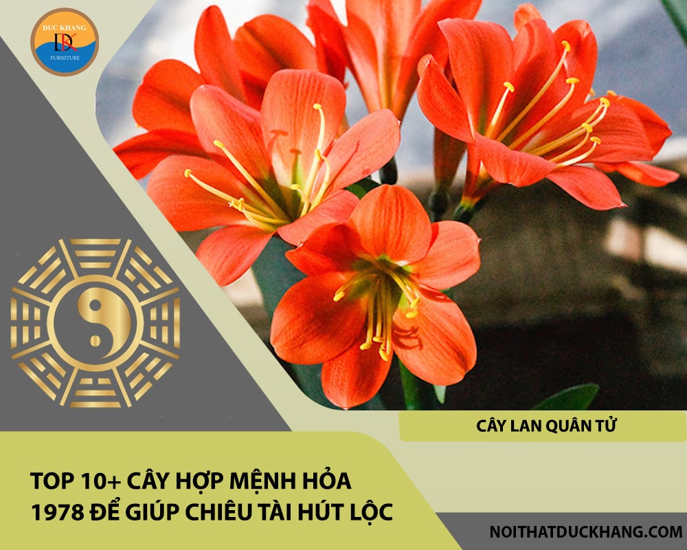 Top 10+ cây hợp mệnh Hỏa 1978 để giúp chiêu tài hút lộc - Cây lan quân tử