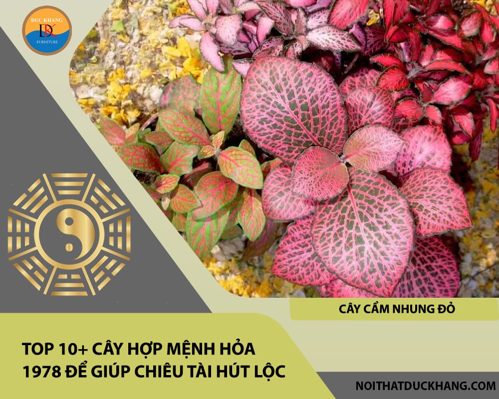 Top 10+ cây hợp mệnh Hỏa 1978 để giúp chiêu tài hút lộc