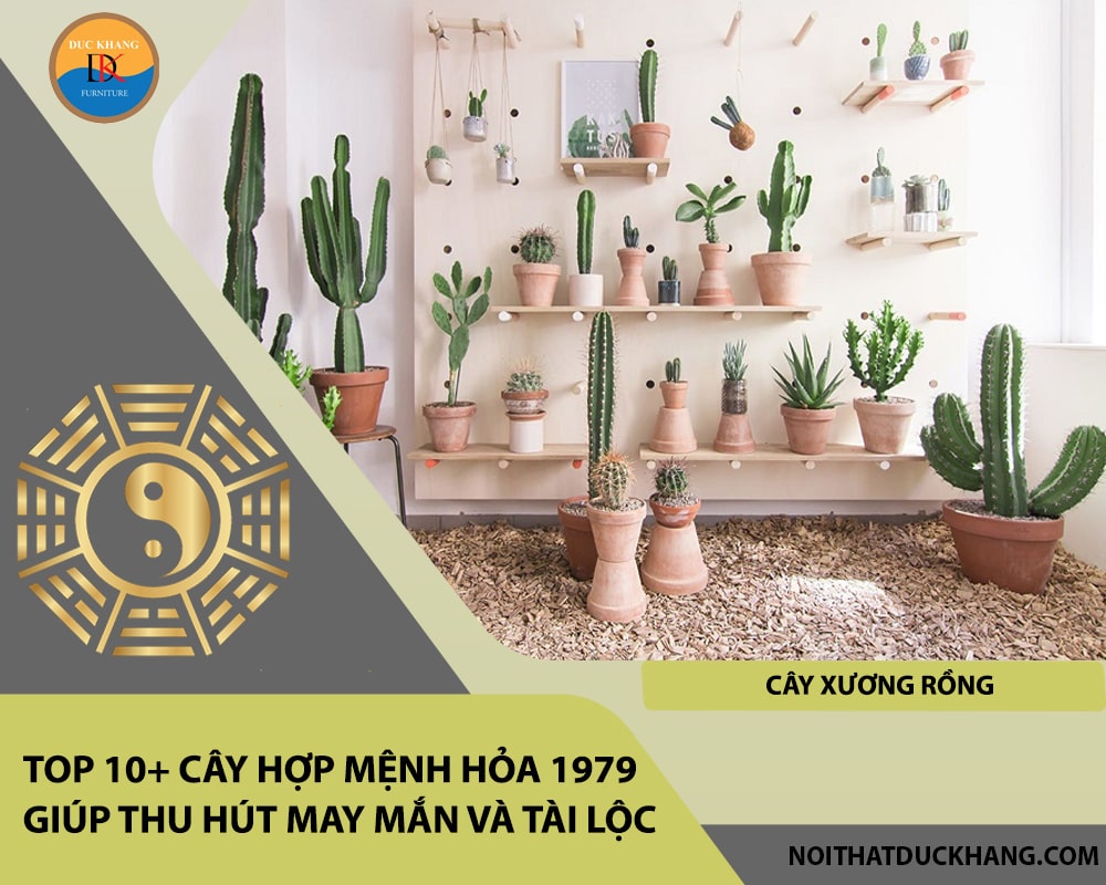 Top 10+ cây hợp mệnh Hỏa 1979 giúp thu hút may mắn và tài lộc