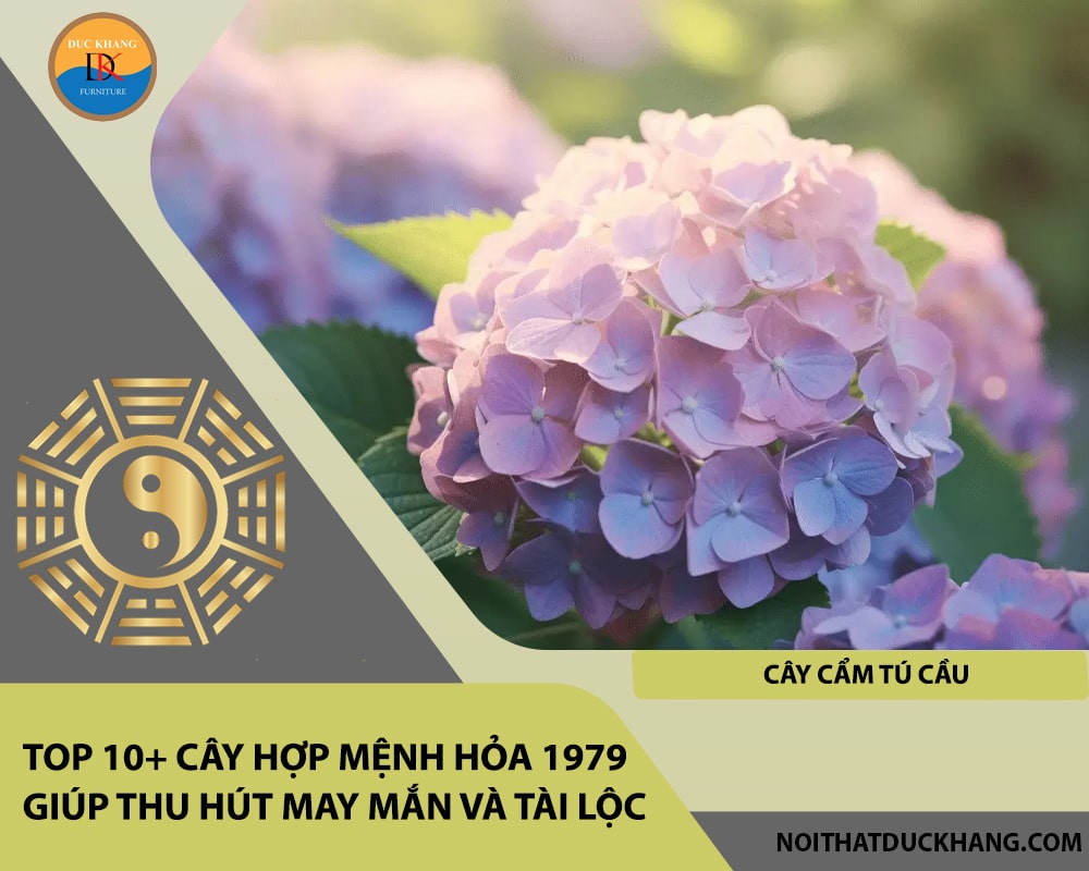 Top 10+ cây hợp mệnh Hỏa 1979 giúp thu hút may mắn và tài lộc - Cây cẩm tú cầu Top 10+ cây hợp mệnh Hỏa 1979 giúp thu hút may mắn và tài lộc - Cây cẩm tú cầu