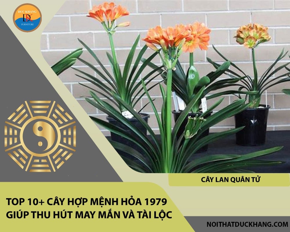 Top 10+ cây hợp mệnh Hỏa 1979 giúp thu hút may mắn và tài lộc - Cây lan quân tử Top 10+ cây hợp mệnh Hỏa 1979 giúp thu hút may mắn và tài lộc - Cây lan quân tử