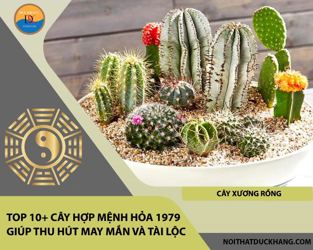 Top 10+ cây hợp mệnh Hỏa 1979 giúp thu hút may mắn và tài lộc - Cây xương rồng Top 10+ cây hợp mệnh Hỏa 1979 giúp thu hút may mắn và tài lộc - Cây xương rồng