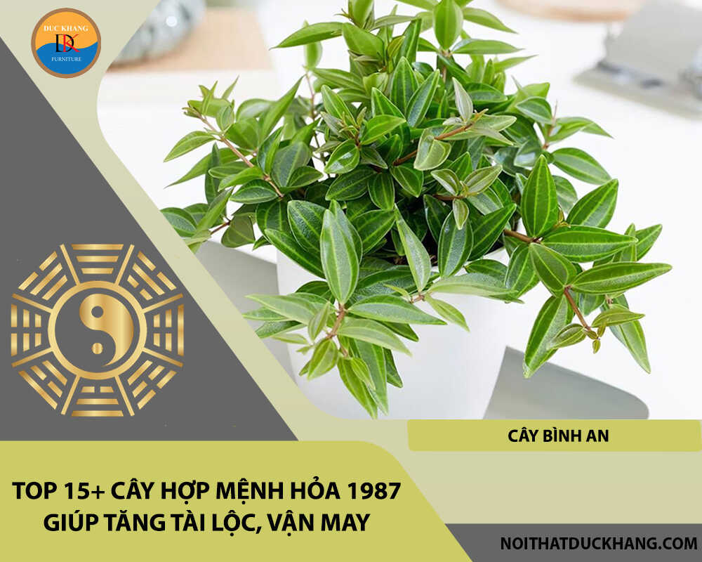 Top 15+ cây hợp mệnh Hỏa 1987 giúp tăng tài lộc, vận may - Cây bình an