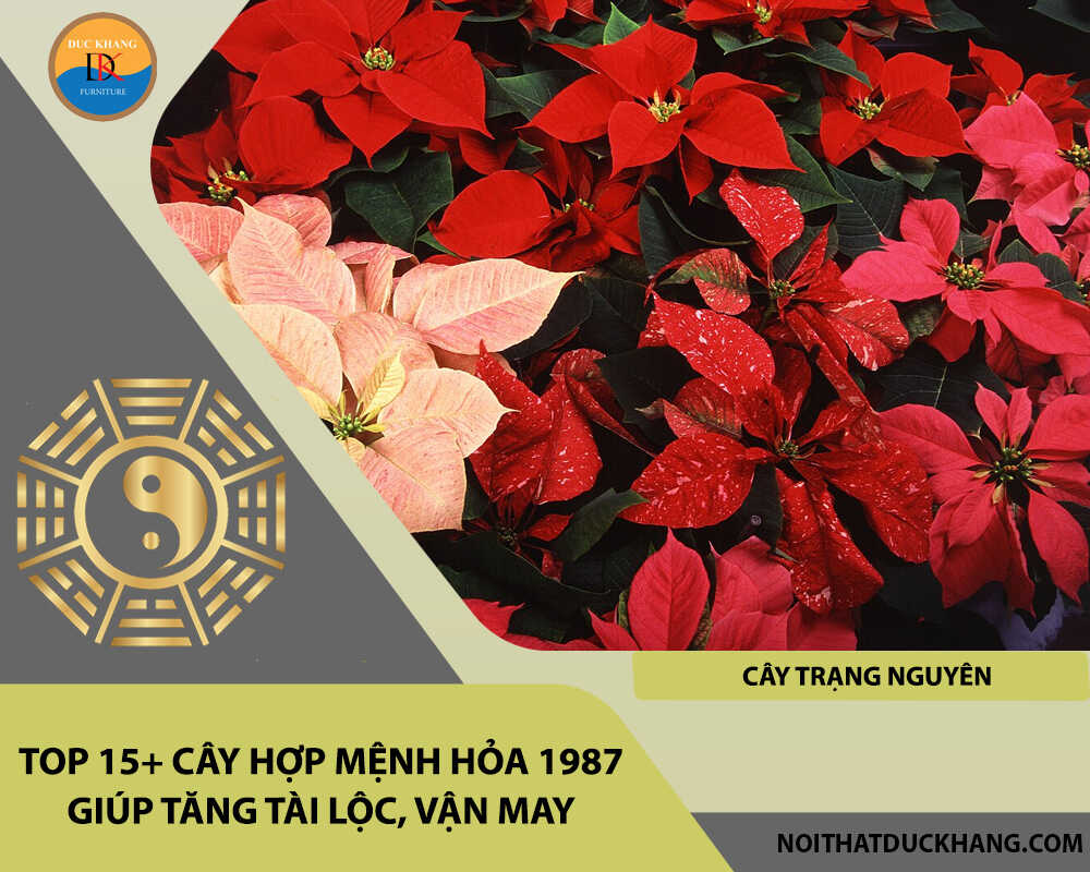 Top 15+ cây hợp mệnh Hỏa 1987 giúp tăng tài lộc, vận may