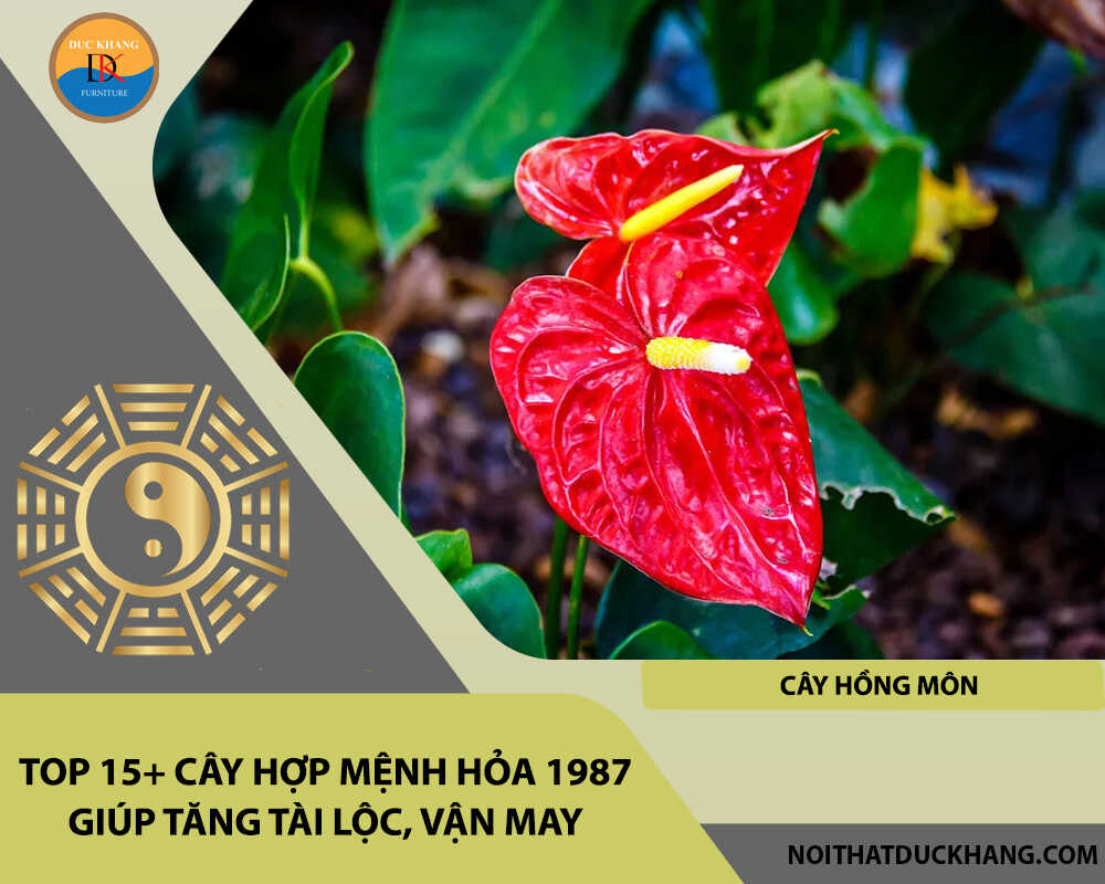 Top 15+ cây hợp mệnh Hỏa 1987 giúp tăng tài lộc, vận may - Cây hồng môn