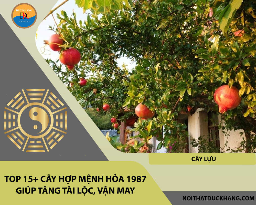 Top 15+ cây hợp mệnh Hỏa 1987 giúp tăng tài lộc, vận may - Cây lựu