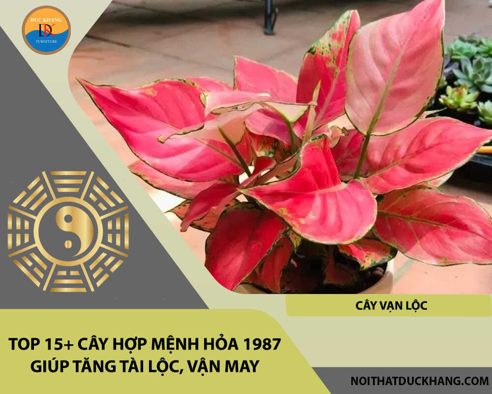 Top 15+ cây hợp mệnh Hỏa 1987 giúp tăng tài lộc, vận may - Cây vạn lộc