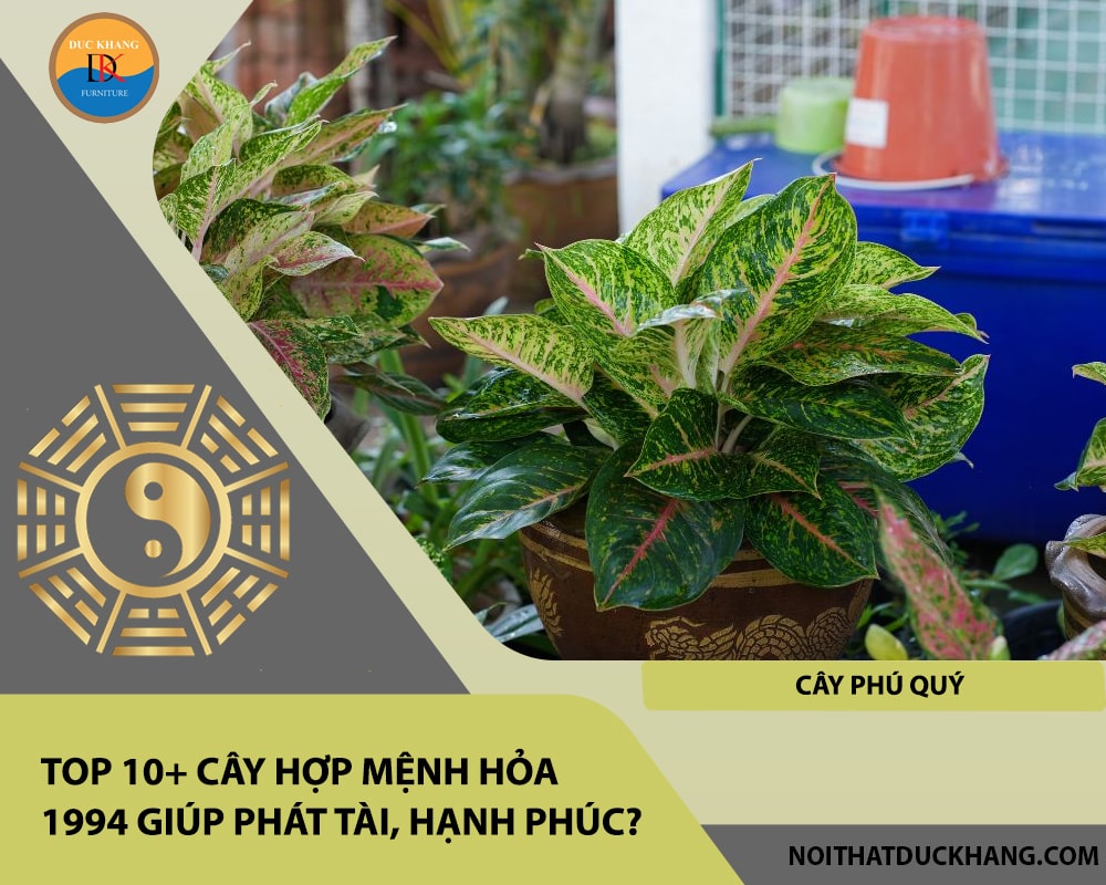 Top 10+ cây hợp mệnh Hỏa 1994 giúp phát tài, hạnh phúc - Cây phú quý Top 10+ cây hợp mệnh Hỏa 1994 giúp phát tài, hạnh phúc - Cây phú quý