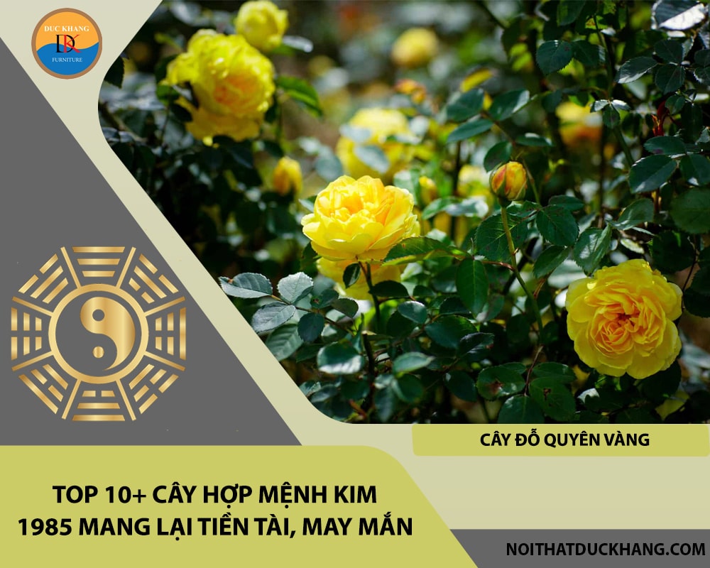 Top 10+ cây hợp mệnh Kim 1985 mang lại tiền tài, may mắn