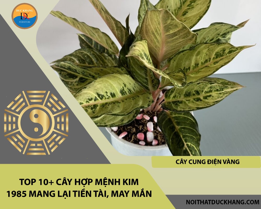 Top 10+ cây hợp mệnh Kim 1985 mang lại tiền tài, may mắn - Cây cung điện vàng Top 10+ cây hợp mệnh Kim 1985 mang lại tiền tài, may mắn - Cây cung điện vàng
