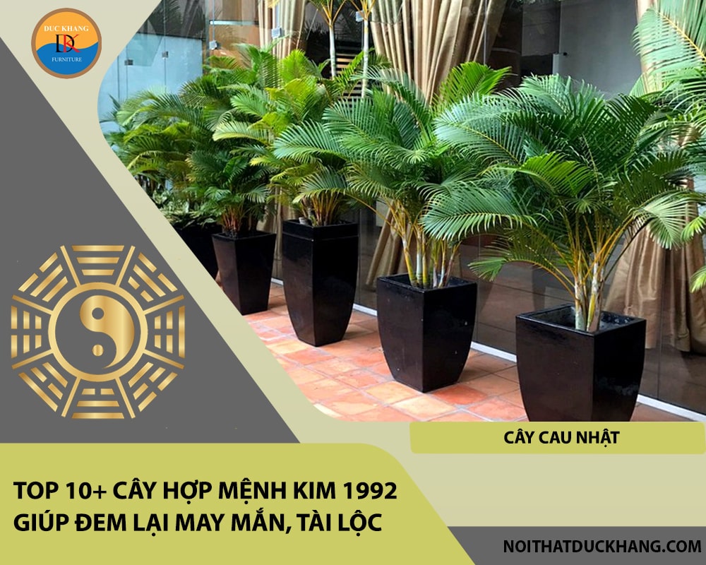 Top 10+ cây hợp mệnh Kim 1992 giúp đem lại may mắn, tài lộc