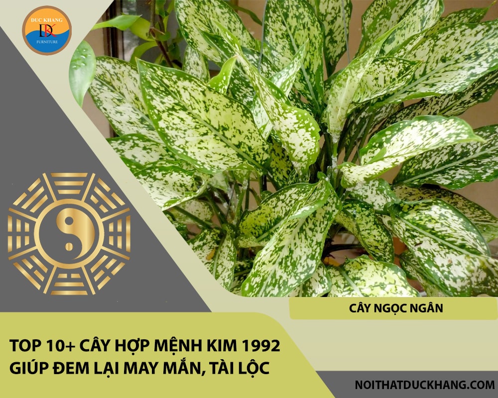 Top 10+ cây hợp mệnh Kim 1992 giúp đem lại may mắn, tài lộc - Cây Ngọc Ngân