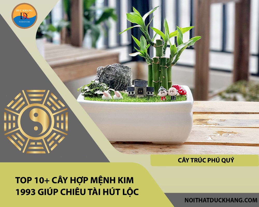 Top 10+ cây hợp mệnh Kim 1993 giúp chiêu tài hút lộc - Cây Trúc phú quý Top 10+ cây hợp mệnh Kim 1993 giúp chiêu tài hút lộc - Cây Trúc phú quý