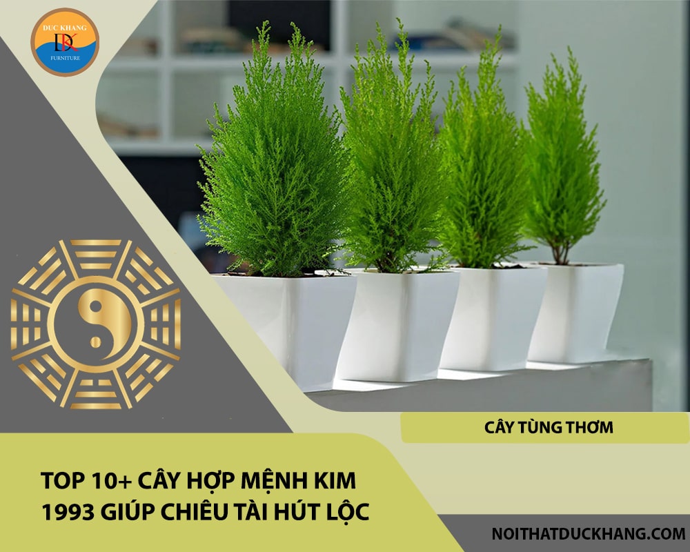 Top 10+ cây hợp mệnh Kim 1993 giúp chiêu tài hút lộc - Cây Tùng thơm Top 10+ cây hợp mệnh Kim 1993 giúp chiêu tài hút lộc - Cây Tùng thơm